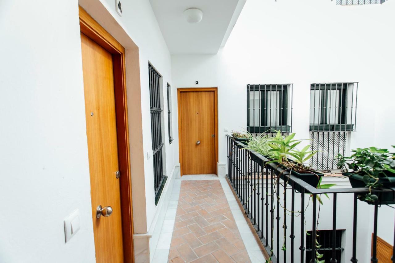 Bright Duplex W/ Terrace Leilighet Sevilla Eksteriør bilde