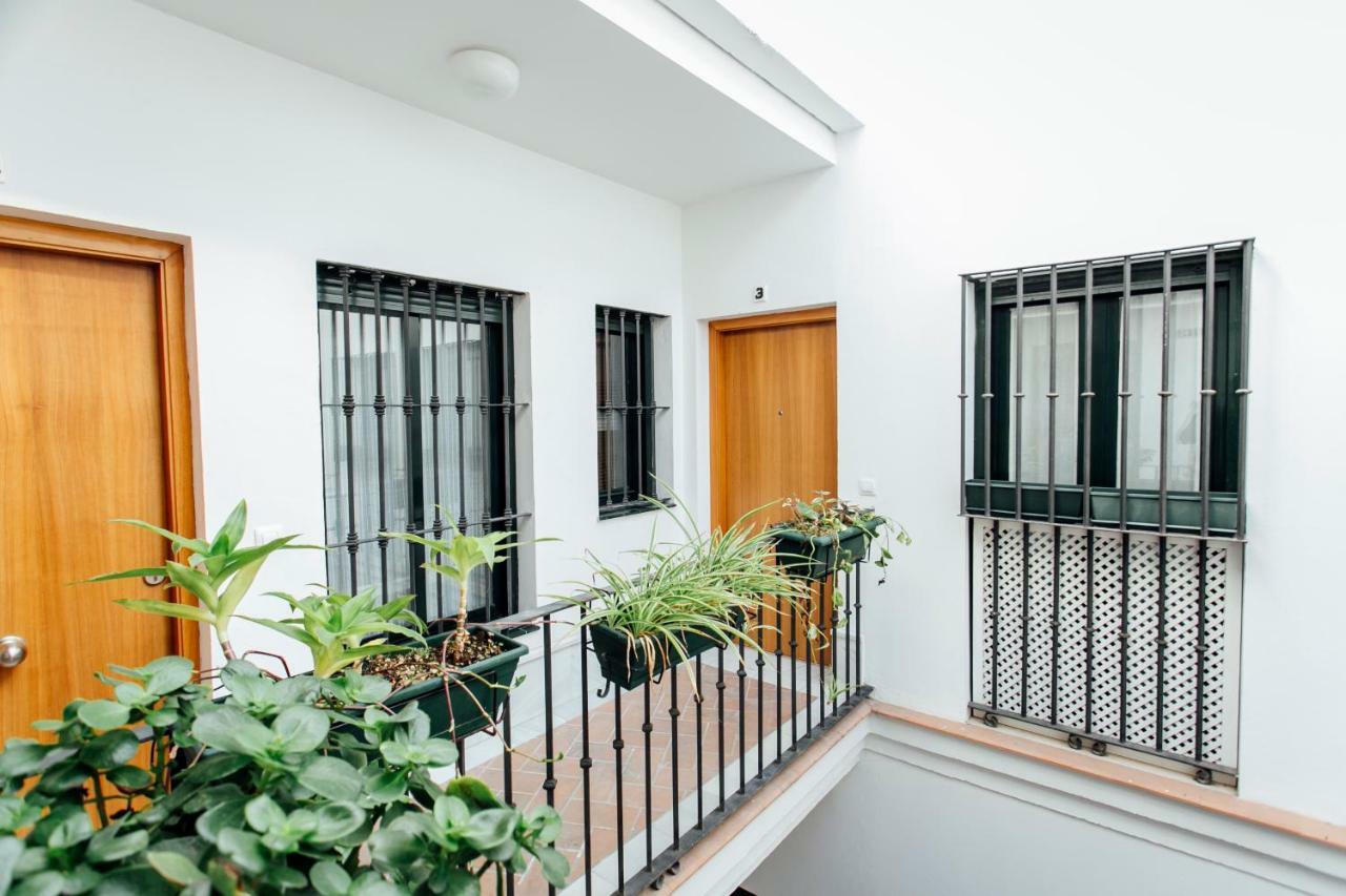 Bright Duplex W/ Terrace Leilighet Sevilla Eksteriør bilde
